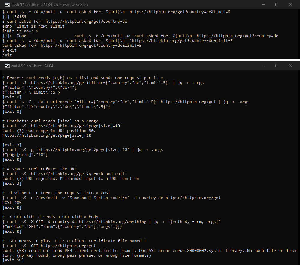 Terminal output: an interactive bash session where an unquoted & cuts the query, then braces, brackets, a space, -d without -G, -X GET with -d, and -GET