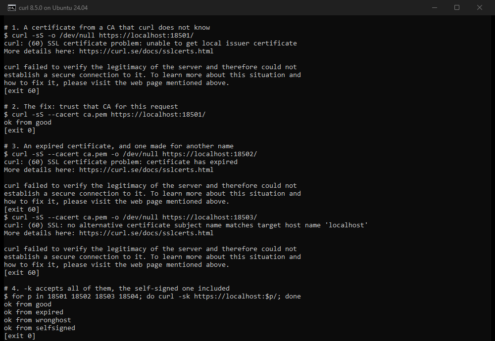 Terminal capture of the certificate error tests, 10 October 2026, curl 8.5.0 on Ubuntu 24.04. A certificate from an unknown authority fails with curl: (60) SSL certificate problem: unable to get local issuer certificate. With --cacert ca.pem the same server answers ok from good. An expired certificate fails with certificate has expired. A certificate for another name fails with no alternative certificate subject name matches target host name 'localhost'. With -k all four servers answer: good, expired, wronghost and selfsigned.