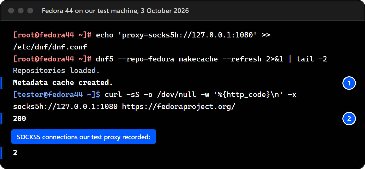 Terminal on Fedora 44: dnf.conf with proxy=socks5h, dnf makecache succeeding, curl through socks5h answering 200, and the SOCKS5 test proxy recording two connections.