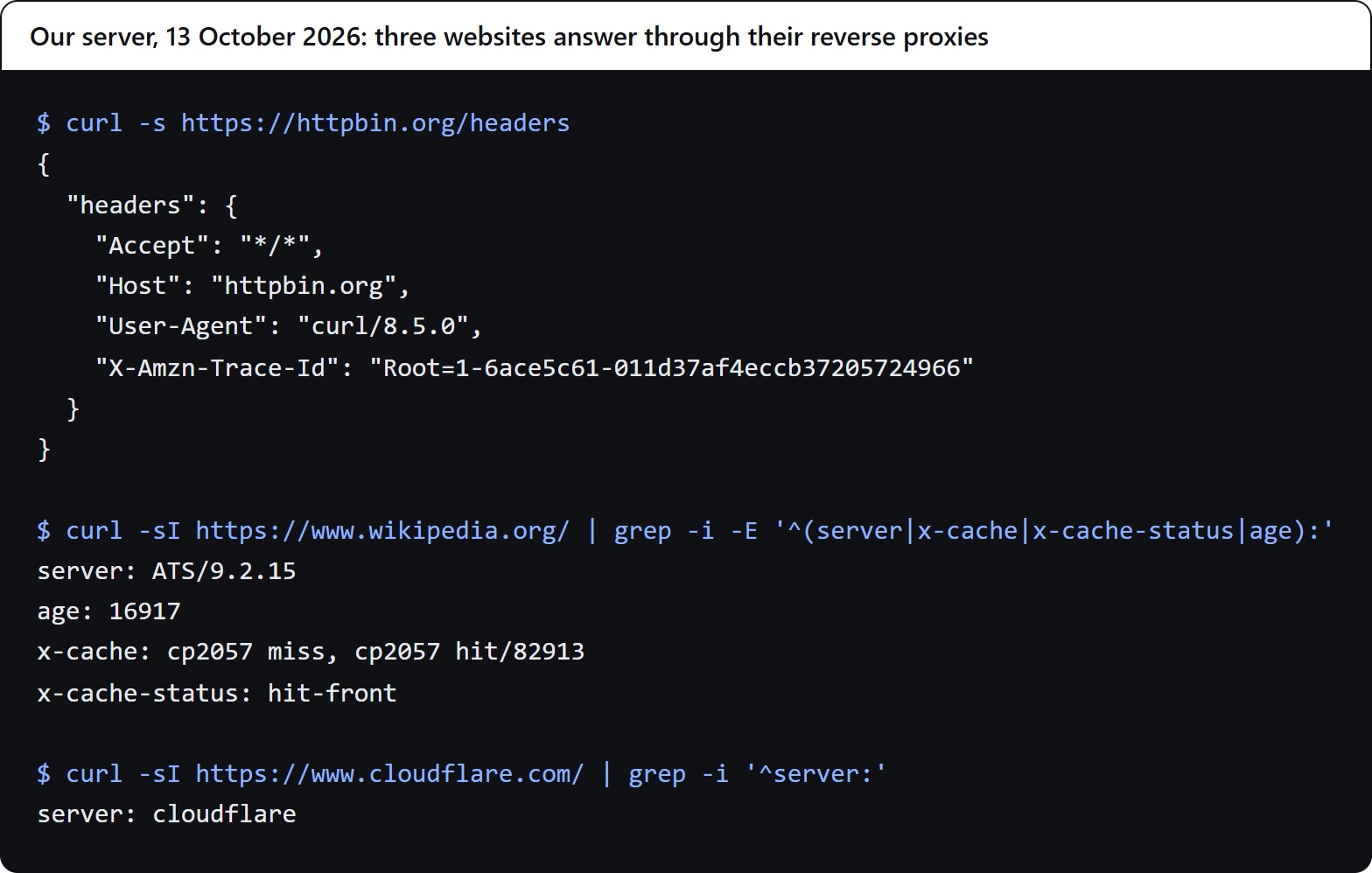 Our terminal: httpbin.org's application receives an X-Amzn-Trace-Id header that curl never sent; Wikipedia answers from Apache Traffic Server with an age of 16,917 seconds and a cache hit; www.cloudflare.com answers with server: cloudflare.