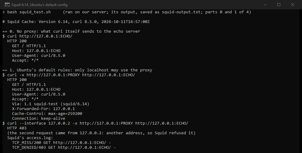 Terminal output: curl straight to our echo server sends Host, User-Agent and Accept; through Squid the echo also gets Via, X-Forwarded-For with the client's address and Cache-Control; a request from another address gets 403