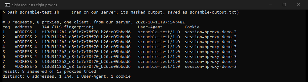 Terminal output: eight requests through eight proxies. The site saw six different addresses, and one JA4 TLS fingerprint, one user agent and one cookie in all eight