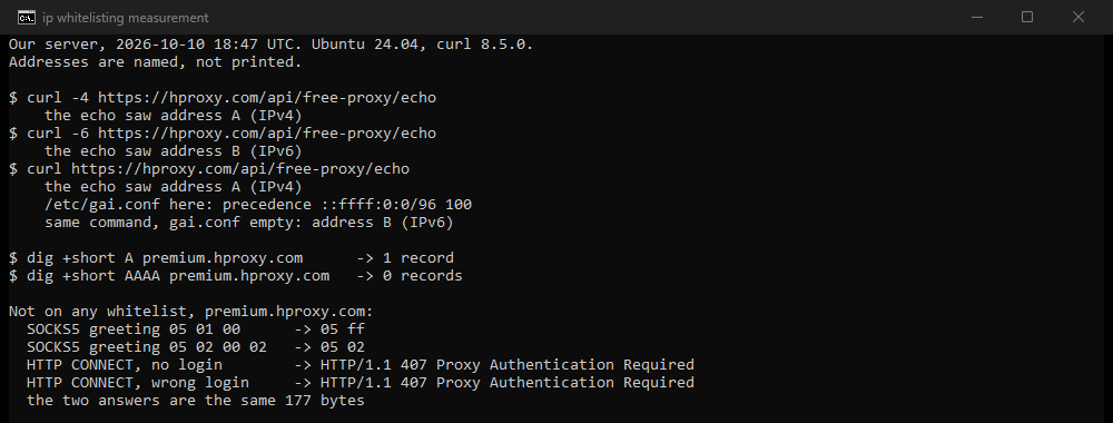 Terminal output from our server. curl -4 to our echo endpoint is seen as address A (IPv4), curl -6 as address B (IPv6), plain curl as address A with the gai.conf precedence line and as address B with an empty gai.conf. premium.hproxy.com has 1 A record and 0 AAAA records. A client on no whitelist gets 05 ff and 05 02 from SOCKS5 and the same 407 answer, 177 bytes, with no login and with a wrong login.