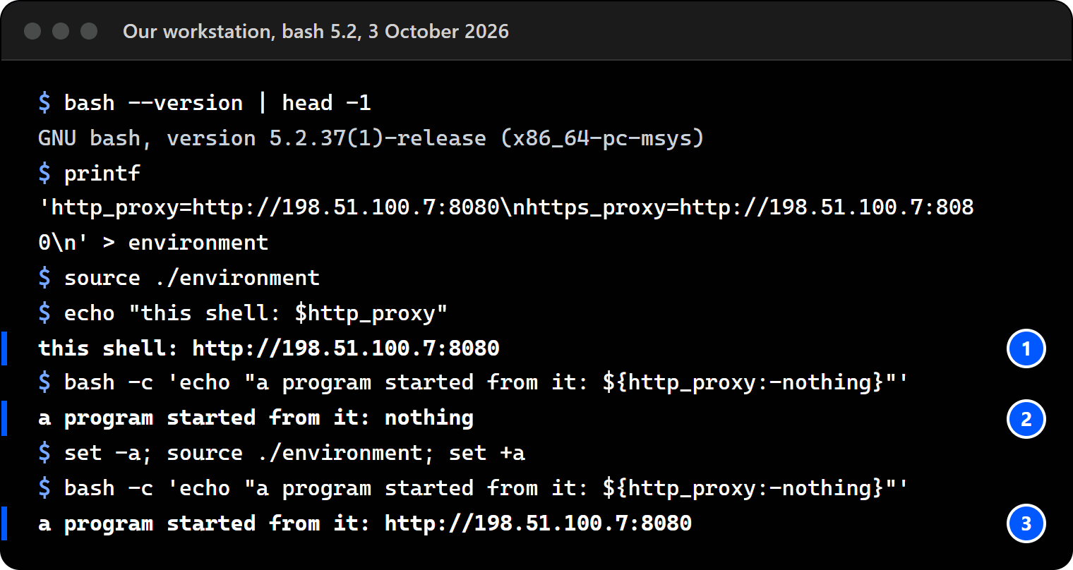 Terminal on our workstation with bash 5.2: a file with two plain proxy lines is sourced; echo in the shell prints the proxy, but a program started from it prints nothing; after set -a, source and set +a, the program prints the proxy.