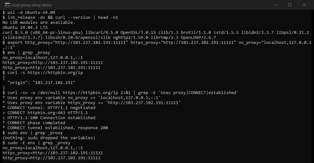 Our own terminal on Ubuntu 24.04: the export line with a public proxy, env showing the three variables, curl reporting the proxy address as its origin, the curl -v lines that prove the CONNECT tunnel, sudo env showing nothing, and sudo -E env showing the variables again.