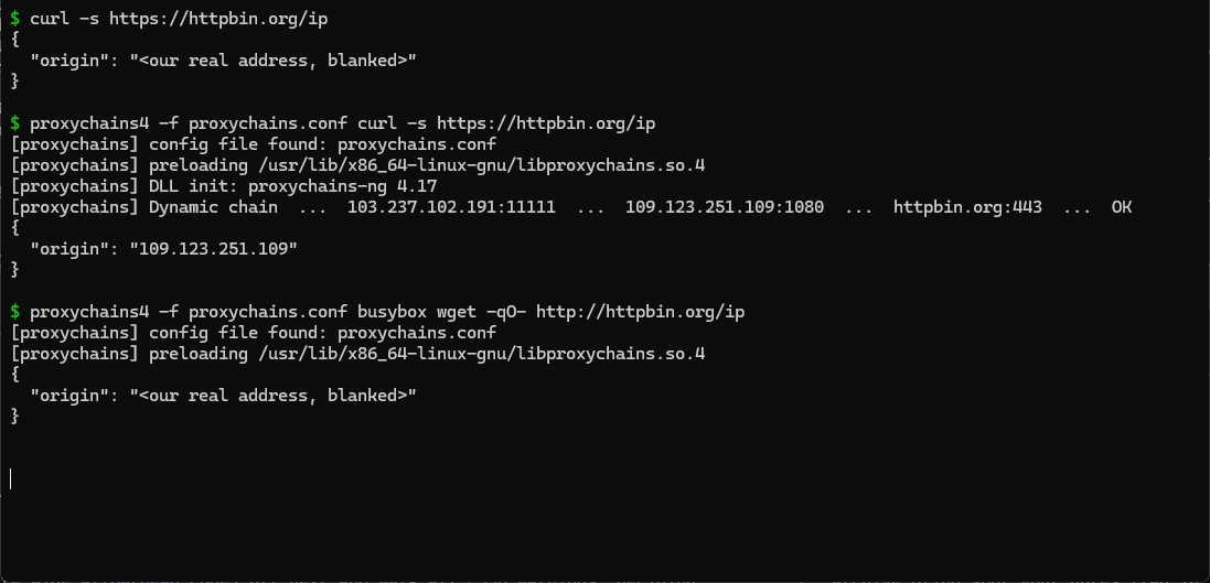 Terminal capture: a direct request shows our own address, the same request through proxychains4 shows the chain line ending in OK and the exit address, and a static busybox binary launched under proxychains4 prints our own address again.