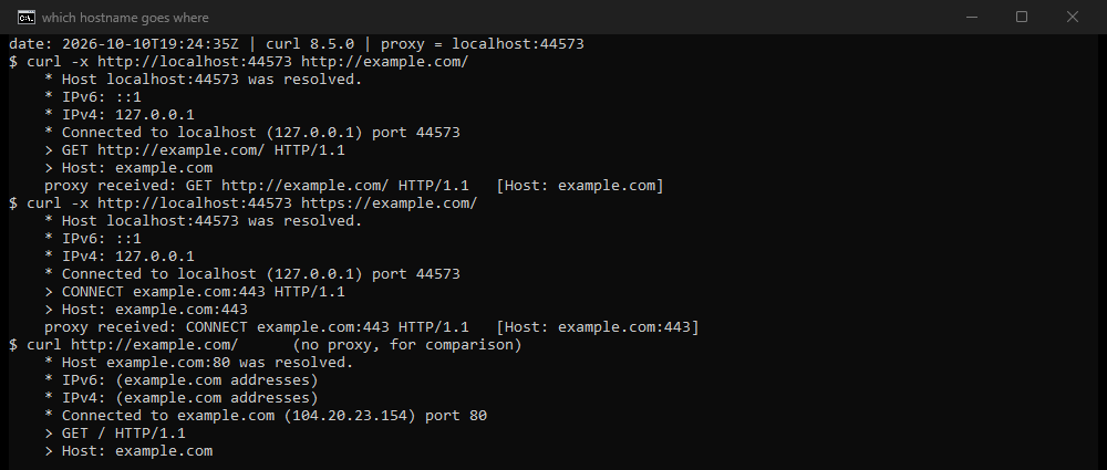 Terminal output on our server. Through a logging proxy on localhost, curl resolves only localhost, connects to 127.0.0.1, and sends GET http://example.com/ HTTP/1.1 for an http address and CONNECT example.com:443 HTTP/1.1 for an https address; the proxy logs the same lines. Without the proxy, curl resolves example.com itself and connects to its address on port 80.