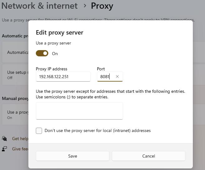 The Edit proxy server window on Windows 11: the Use a proxy server switch turned on, the Proxy IP address and Port boxes, the exceptions box, the checkbox for local addresses, and the Save button.