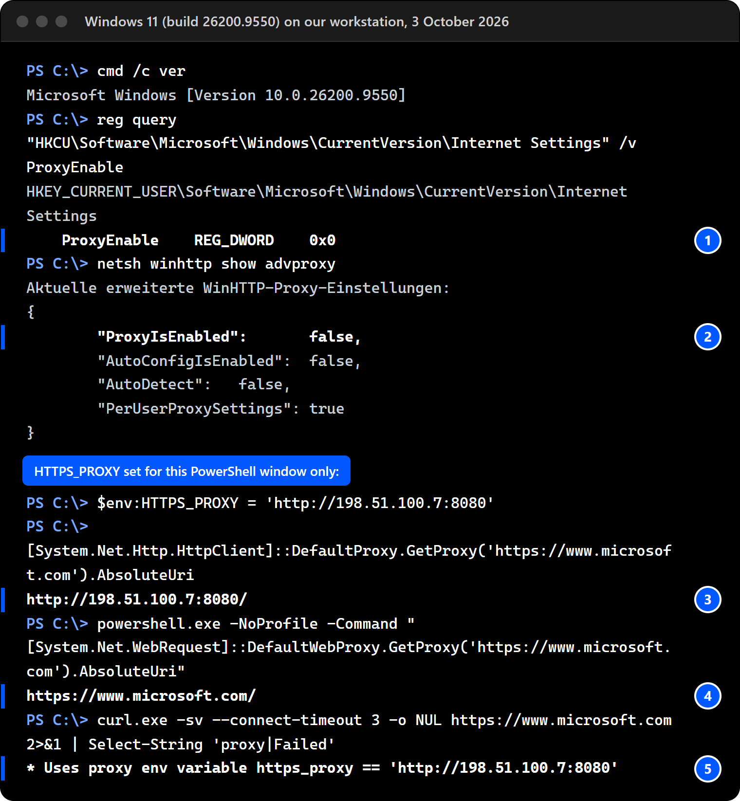 Terminal on Windows 11 build 26200.9550: the Settings proxy is off (ProxyEnable 0x0) and the WinHTTP proxy is off; with HTTPS_PROXY set in that PowerShell 7 window, .NET's default proxy answers http://198.51.100.7:8080/, Windows PowerShell 5.1 answers the site itself (no proxy), and curl.exe prints Uses proxy env variable https_proxy.